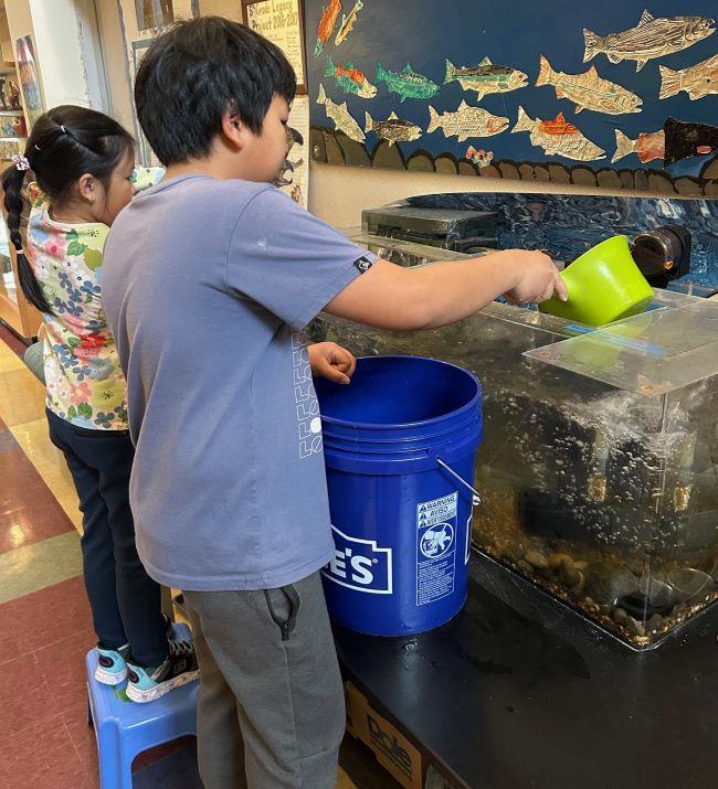 Students caring for a tank in a classroom.