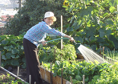 Photo of woman watering garden