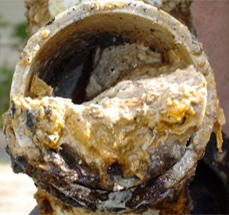 Closeup of the end of a pipe clogged with FOG.