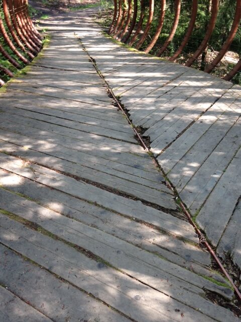 Closeup of the wooden planks on the bridge deck showing holes and wood rot.