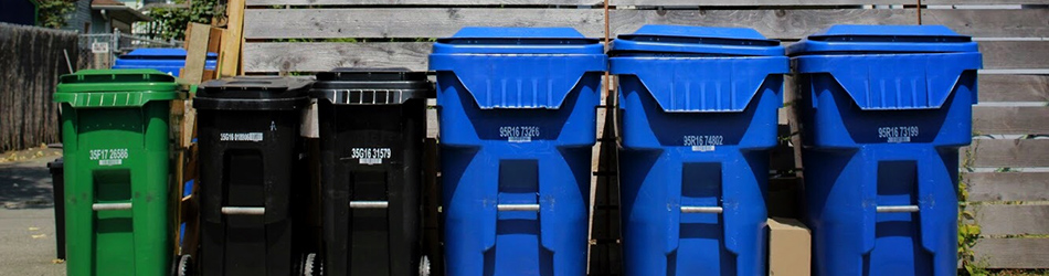 Photo of a several waste carts curbside