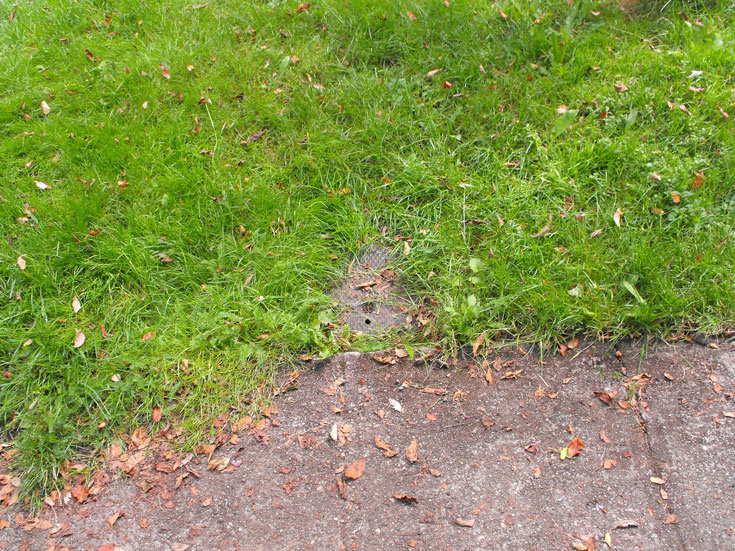 Photo of meter obscured by grass