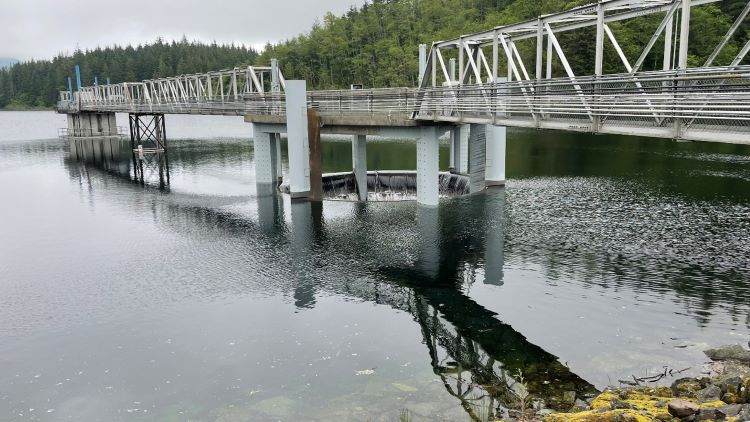 Photo of Tolt Reservoir