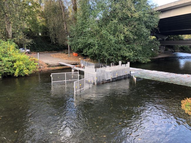 Weir and trap on the Cedar river.