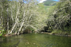 upper cedar river