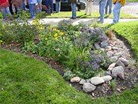 Photo of a bioretention system #1