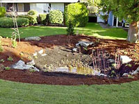 Photo of a bioretention system #4