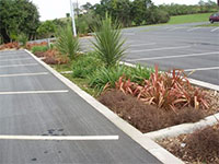 Photo of a bioretention system #5