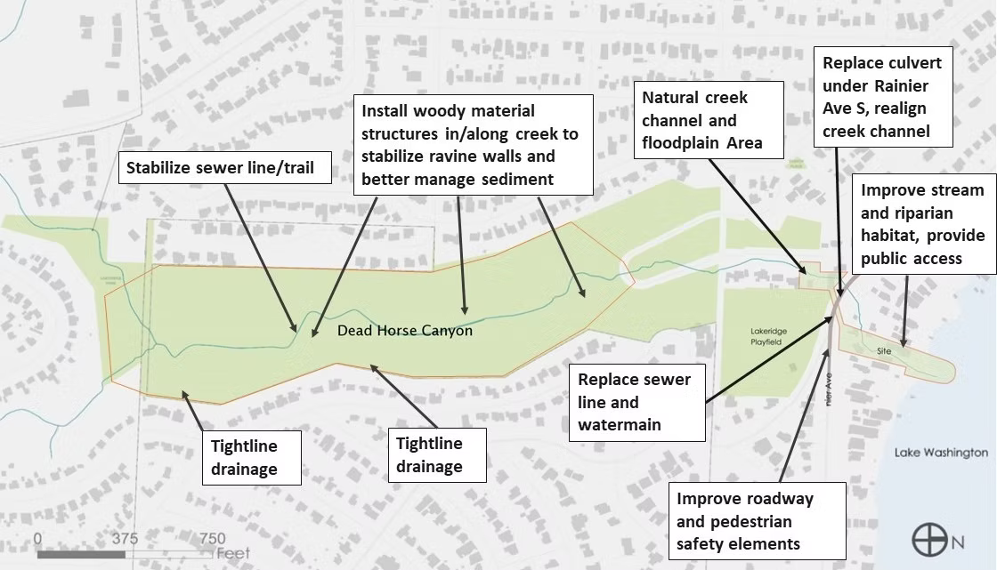 A map diagram of the Taylor Creek Restoration Project area showing a creek running from Lake Washington south through the Dead Horse Canyon area which is surrounded by residential streets and houses. Project improvement areas are labelled from north—on the shore of Lake Washington—to south—at the southern edge of Dead Horse Canyon—as follows: Improve stream and riparian habitat, provide public access. Replace culvert under Rainier Ave S, realign creek channel. Improve roadway and pedestrian safety elements. Replace sewer line and watermain. Natural creek channel and floodplain area. Install woody material structures in/along creek to stabilize ravine walls and better manage sediment. Tightline drainage. Stabilize sewer line/trail.