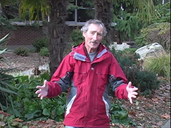 Ciscoe Morris
