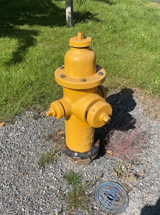 A yellow fire hydrant with lawn in background.