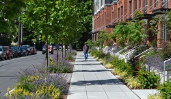 Man shown walking in sustainble landscapes