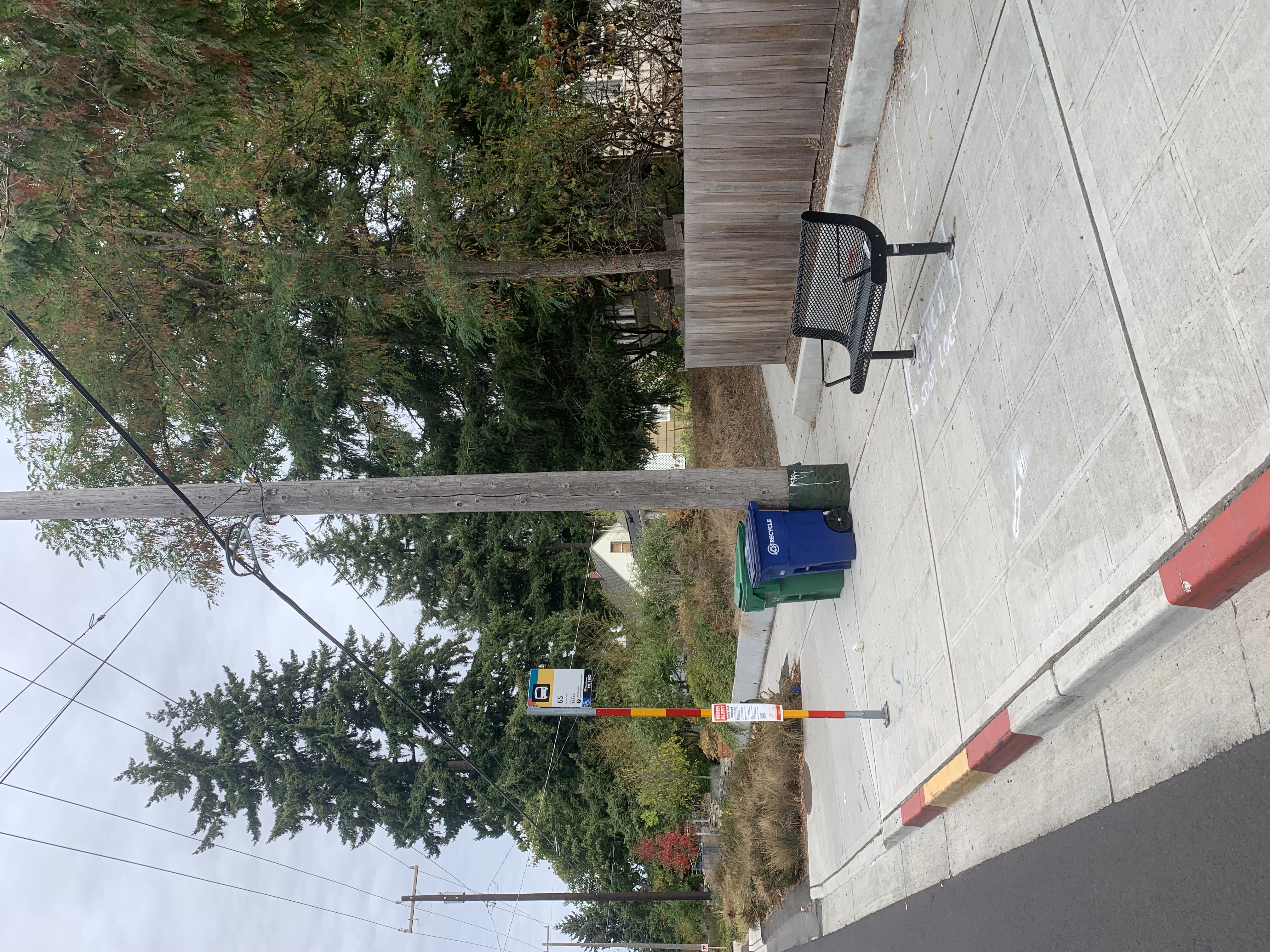 New bench located at a bus stop at 30th Ave NE & NE 130th St