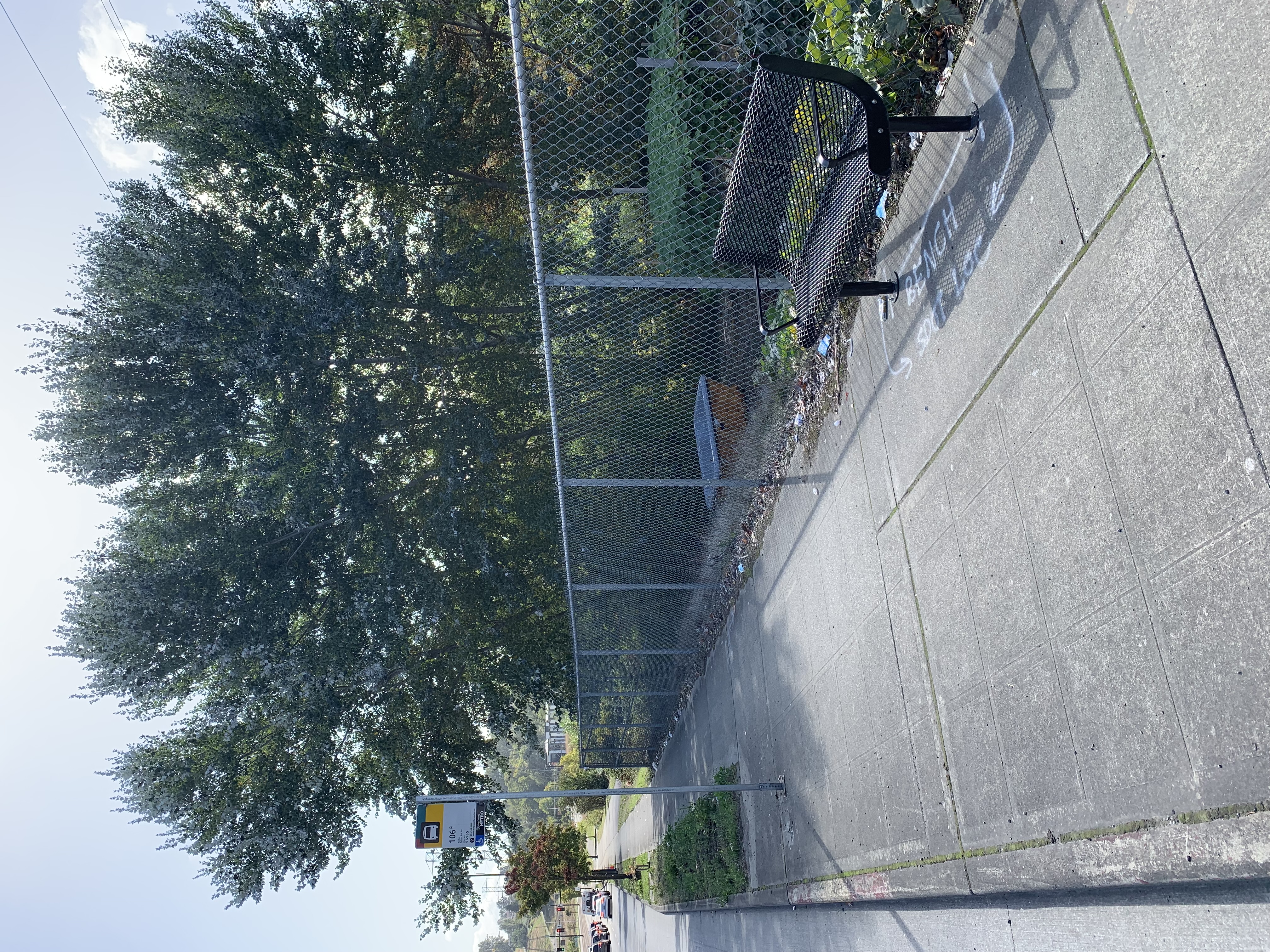 New bench located at bus stop at Martin Luther King Jr Way S & S Thistle St