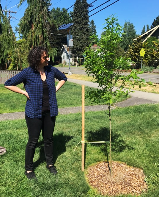 staking a leaning tree