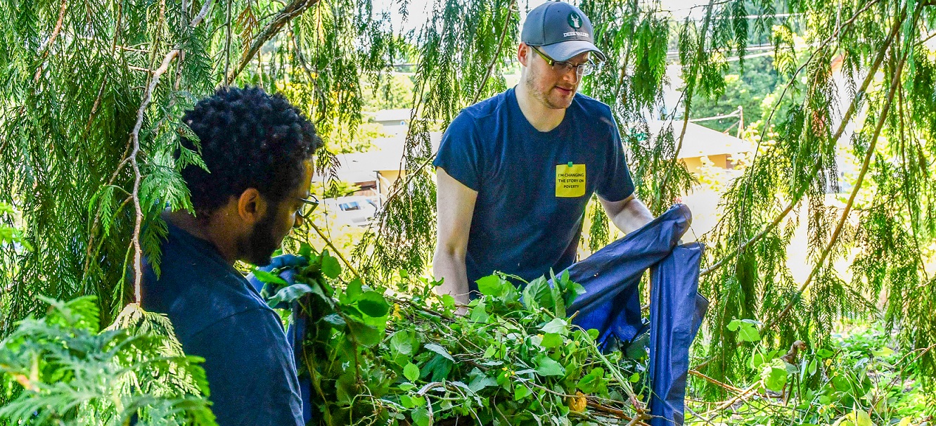 Volunteers removing invasive species