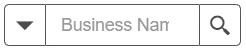 Business Name Search Bar