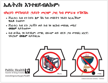 Tigrunya carbon monoxide flyer screenshot