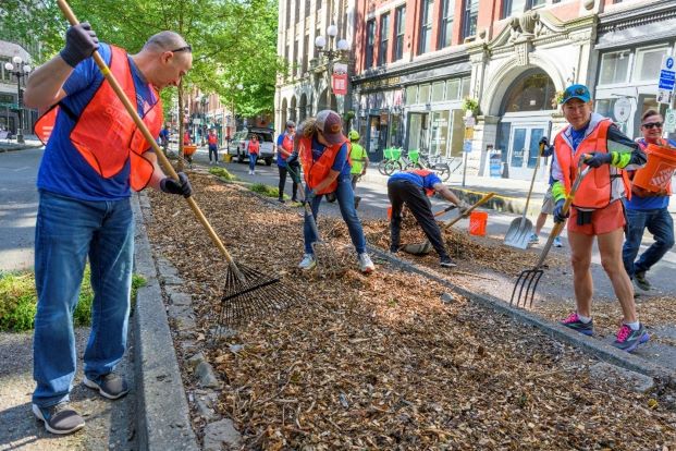 Volunteers with rakes.