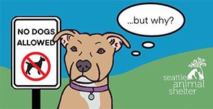 Cartoon of a brown dog sitting next to a “No Dogs Allowed” sign with a red prohibition symbol, looking confused and thinking “…but why?” The Seattle Animal Shelter logo appears in the corner.