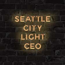 Seattle City Light CEO Confirmation Process 1