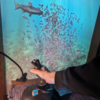 A screen shows a salmon in the water, a hand on a joystick in the foreground