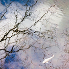 Pigment Inkjet Print