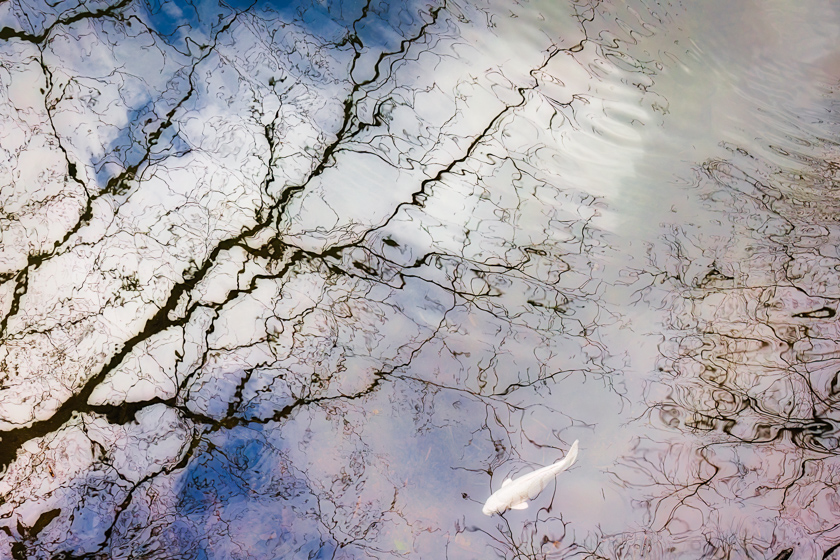 Pigment Inkjet Print