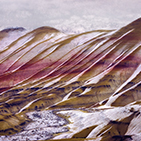 Pigment Injet Print