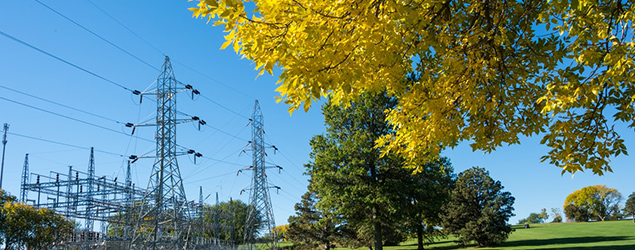 Power lines run past a park