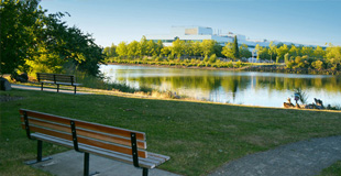 Duwamish River looking beautiful and classy on a blue sky day and a park bench in the foreground.