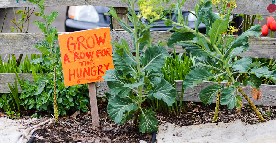 An orange wooden sign in a garden bed 