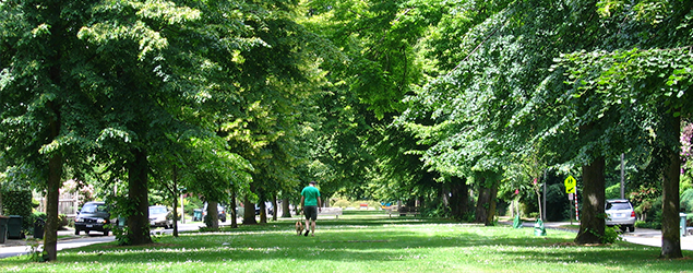 Hunter blvd in Seattle, an tree lined urban greenspace flanked by a blvd on either side