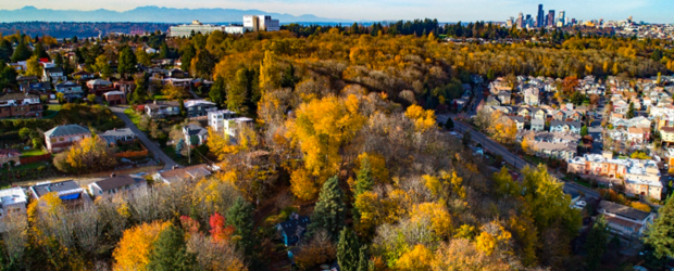 City of Seattle skyline and tree canopy pictured from above