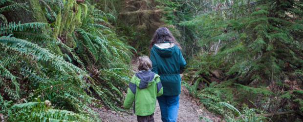 People walking on a trail through the forest