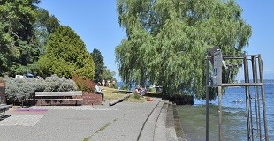 A concrete patio with steps leads to a swimming lake