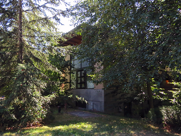 East facing windows