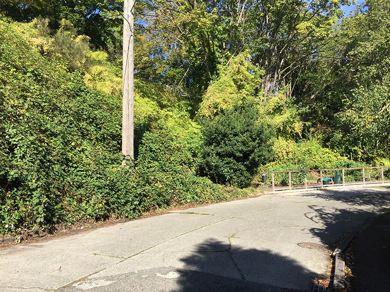 3001 E Madison Park from P-Patch