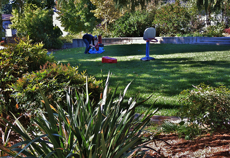 Lawn area