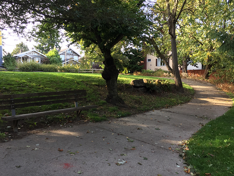 Alvin Larkins Park trees and lawn