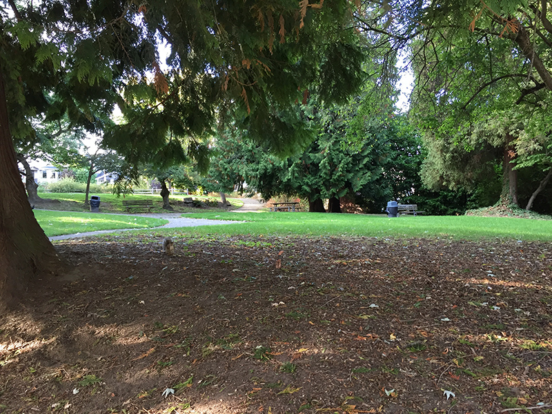 Alvin Larkins Park lawn area