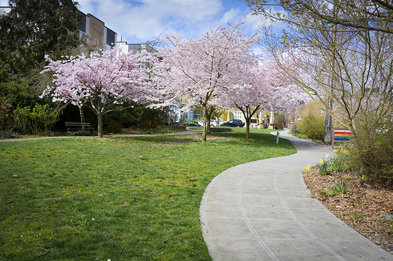 Ballard Corners Park  path - Photography by Marivic Pinedo