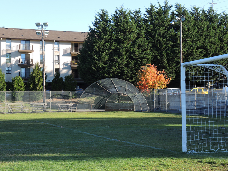 Bitter Lake Playfield Soccer and Softball field 