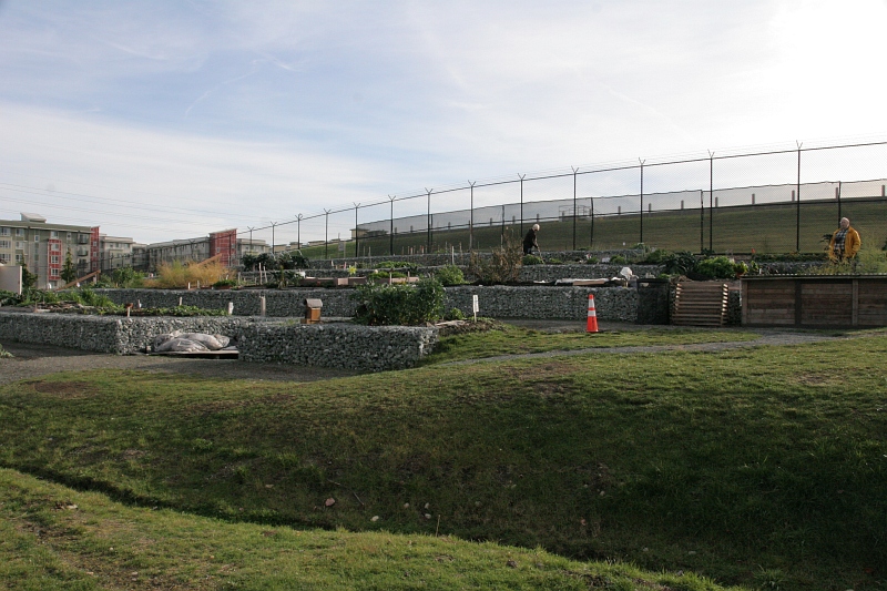Bitter Lake Resevoir lawn