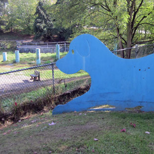 Blue Dog Pond