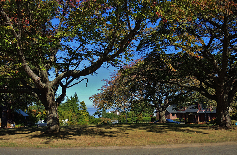 View from Blue Ridge Circle