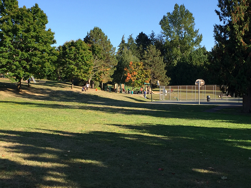 Play area and courts