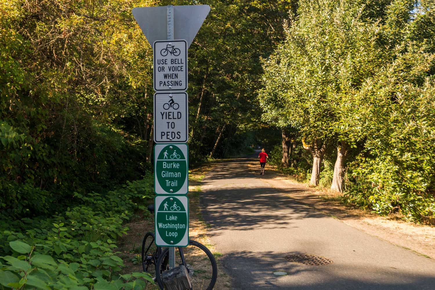 Burke-Gilman Trail jogger - photo by TIA International Photography