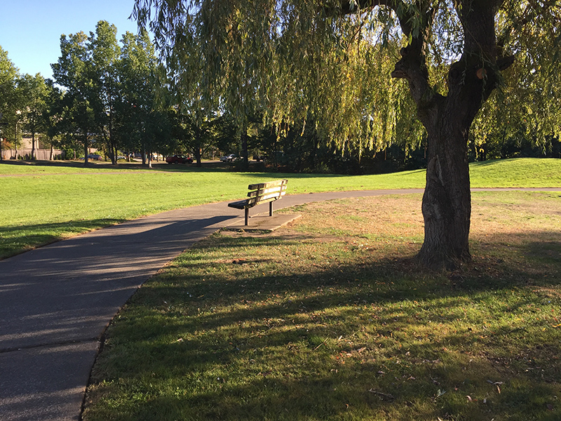 Bench and path at Burke-Gilman Playground Park