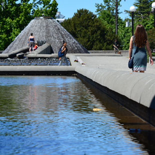 Cal Anderson Park